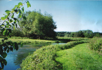 Lower Itchen Fishery river scene